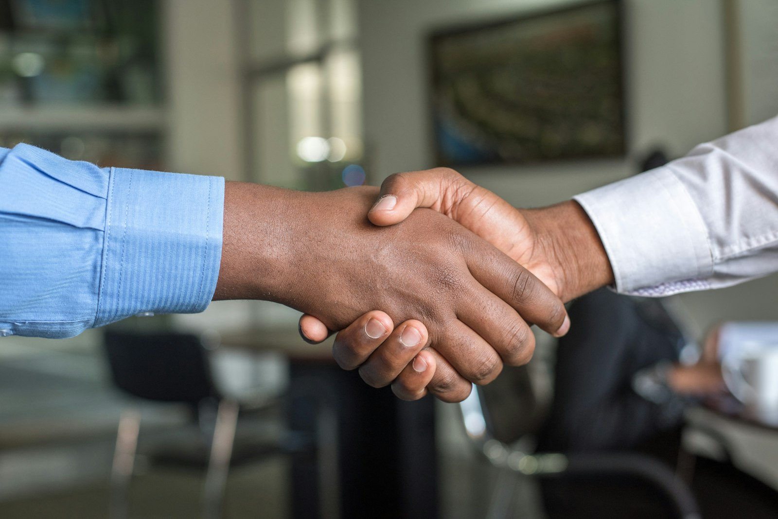 Professional Services programs